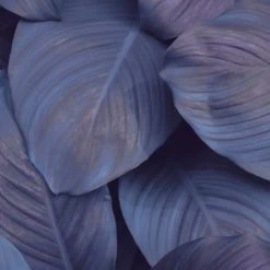 Abat-jours Lampadaires Abat-jour Lampadaire Floral Puja T 45 X H 25 8 Abat-jours Lampadaires Abat-jour Lampadaire Floral Puja T 45 X H 25 -Lampadaires || Lustres || Guirlandes et décorations lumineuses Soldes abat jour lampadaire floral puja t 45 x h 25 2